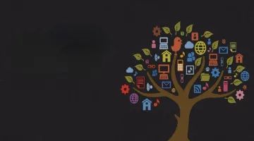 《防范化解金融风险问责规定（试行）》来了！