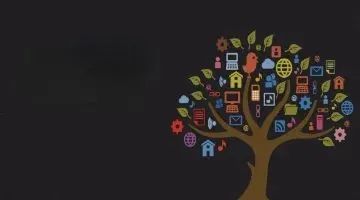 MAU与AUM的因果关系